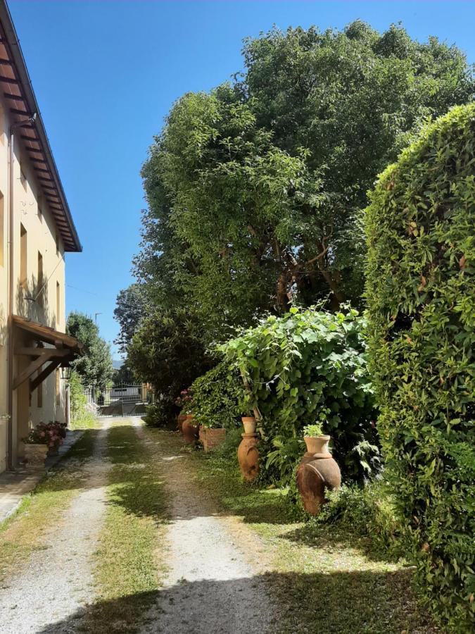 Antica Fattoria La Verdina 卡麦奥雷 外观 照片