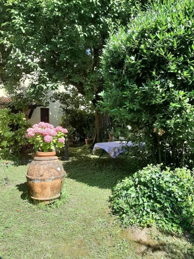 Antica Fattoria La Verdina 卡麦奥雷 外观 照片